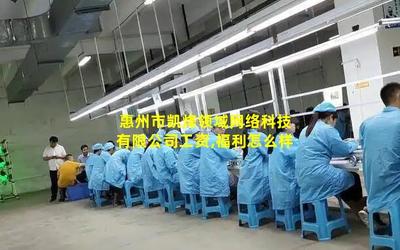 惠州市凱烽領(lǐng)域網(wǎng)絡(luò)科技