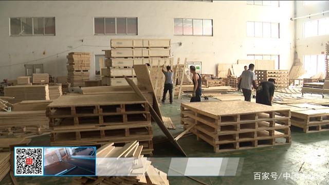 江蘇太倉高新區一大型木制品加工廠亟需整治