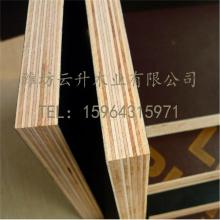 費(fèi)縣高盛木制品廠